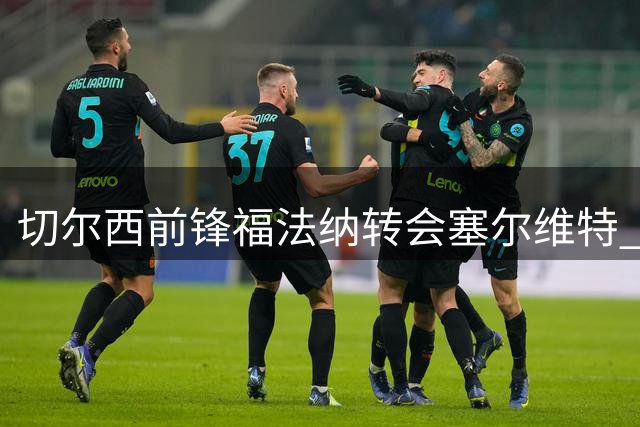 切尔西前锋福法纳转会塞尔维特 总价350万欧元