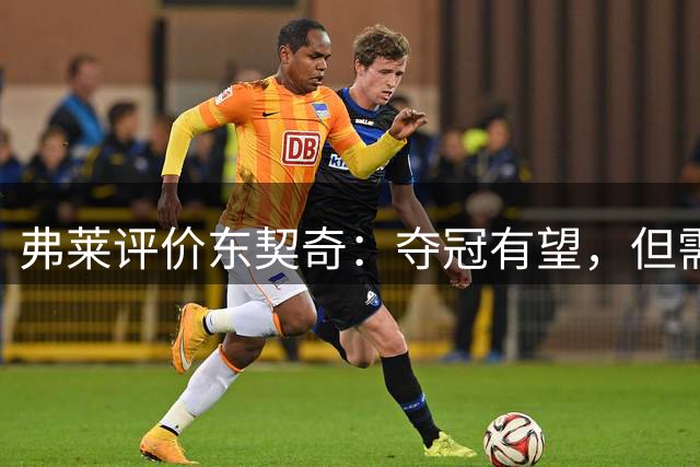 弗莱评价东契奇：夺冠有望，但需调整打法与团队合作
