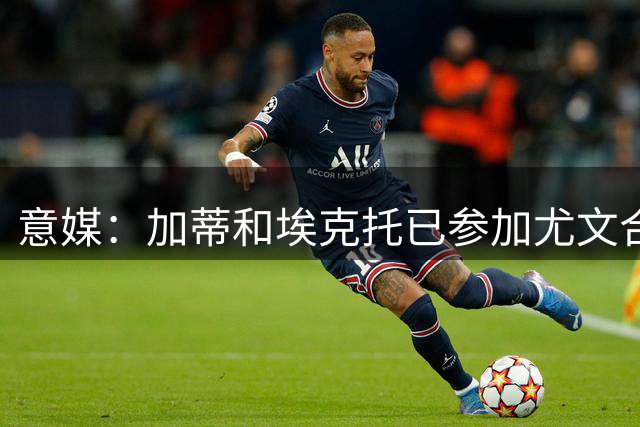 意媒：加蒂和埃克托已参加尤文合练，力争对阵帕尔马时复出