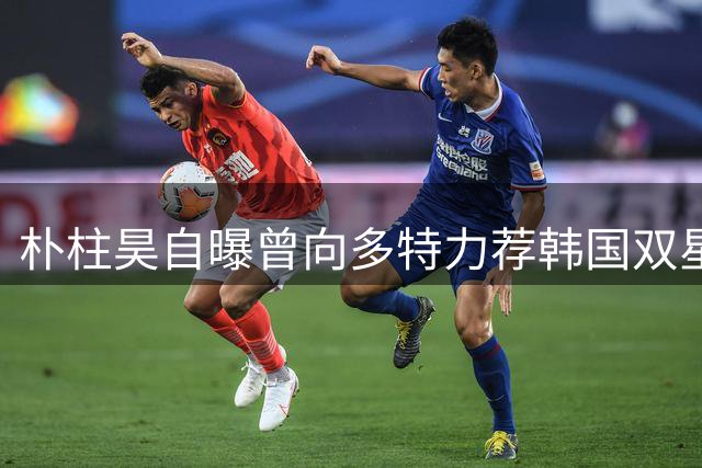 朴柱昊自曝曾向多特力荐韩国双星
